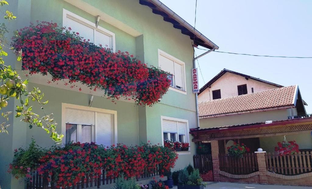 Apartamento Ana Gračac Exterior foto