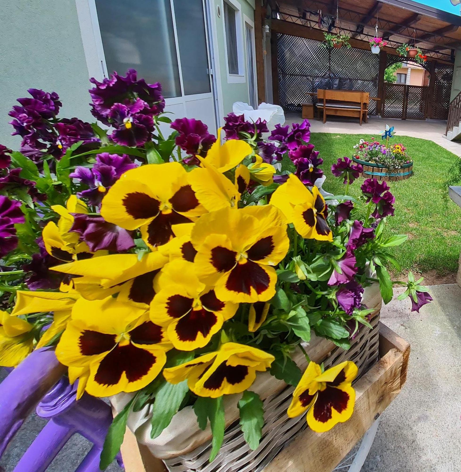 Apartamento Ana Gračac Exterior foto