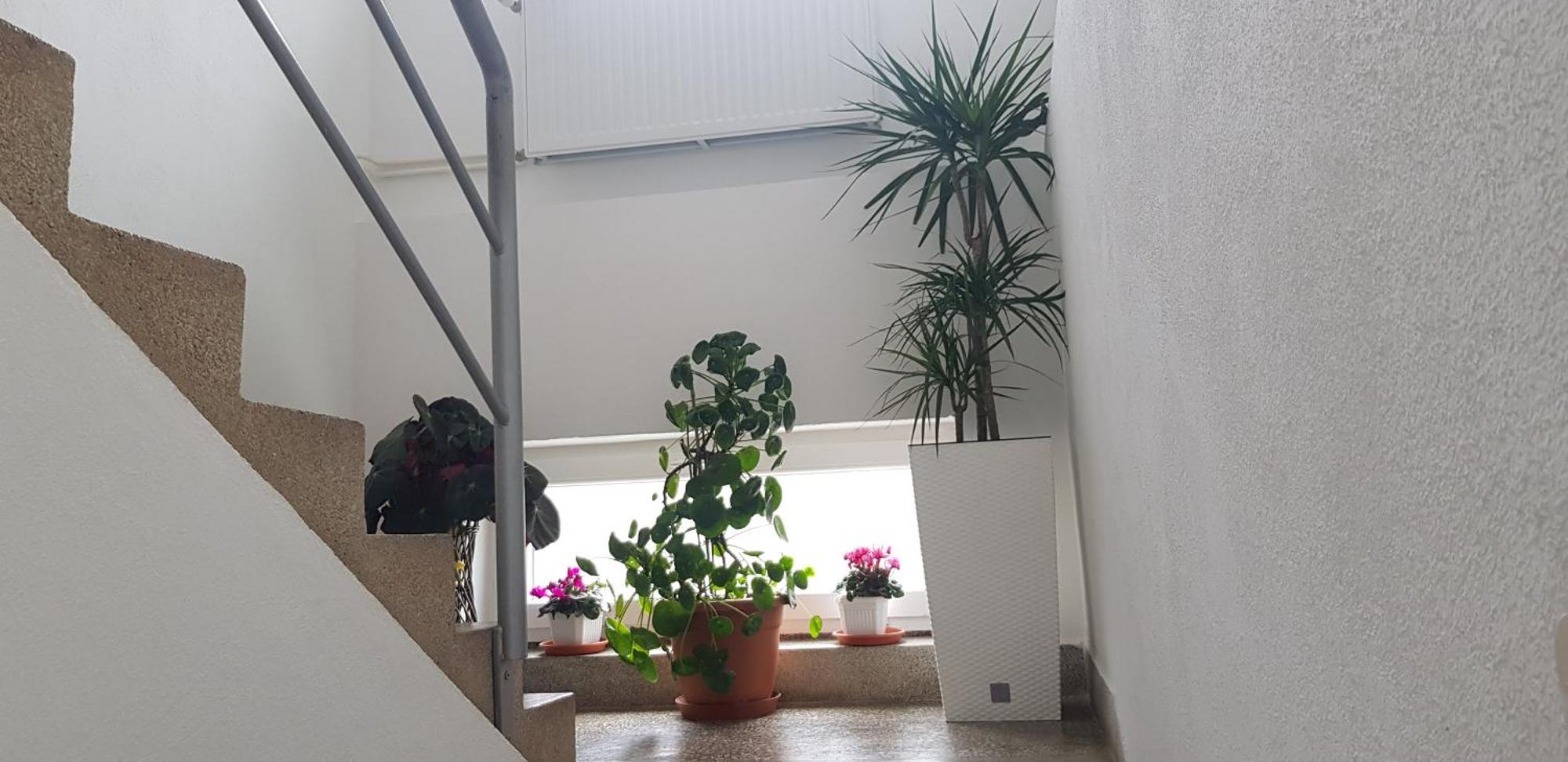 Apartamento Ana Gračac Exterior foto